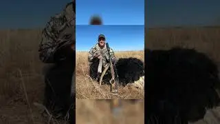 HUGE Ostrich YES!!! #shortvideo #hunting #shorts