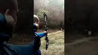 bear species ev slow motion