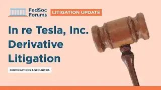 Litigation Update: In re Tesla, Inc. Derivative Litigation