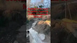 Domingo de ma&ntilde;ana huerta de Godella y acequia de Moncada