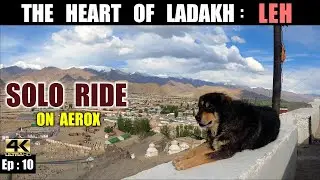 1️⃣0️⃣ : Leh city tour | Kolkata to Ladakh Ride | Magnetic Hill, Shanti Stupa, Indus Zanskar Sangam