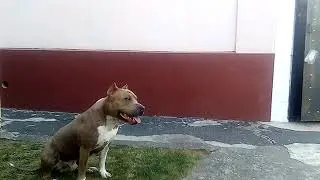 VID 20180824 193739