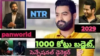 సెన్సేషనల్ డైరెక్టర్# 1000 కోట్లు సినిమా #NTR తో panworld #సందీప్ రెడ్డి వంగా 