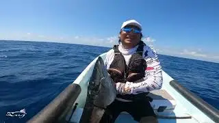 Barracuda al slow jigging en Canc&uacute;n