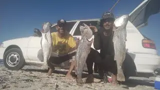 The Hunt for the Kobeljou/ Mulloway continues....#Diestrandloopers 