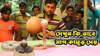 &ldquo;সাপ খেলা | গ্রাম বাংলার সাপ নাচানো খেলা | Snake Game in Village Fair Bangladesh&rdquo;