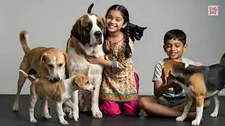 Republic Day | Raise Your Voice for the Voiceless | Stop Animal Cruelty | AI Awarness