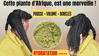 Gel de Lalo (feuilles de baobab) : Adoucit, démêle et fortifie les cheveux surtout secs et cassants