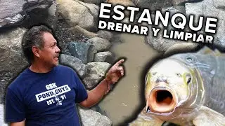 Estanque Drenar y Limpiar | Pond Drain and Clean
