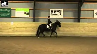 Vognmand Michael Anker's MA1 4  del