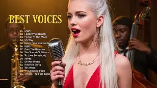Best Audiophile Voices Collection &ndash; Perfect Sound for Hi-Fi Enthusiasts
