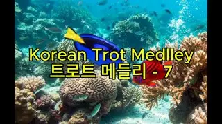 Korean Trot Medley - 7 / 트로트 메들리 - 7