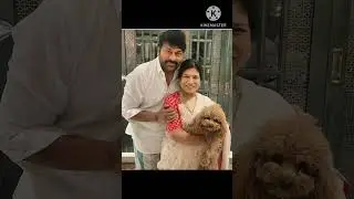 meaga star chiranjeevi Garu surekha Gari birthday celebration recent photo