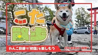 こた散歩1月〜犬目線で「初詣」を楽しもう