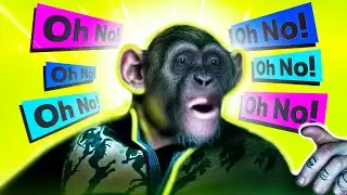 Monkey saying 'Oh No' Meme from Planet of The Apes