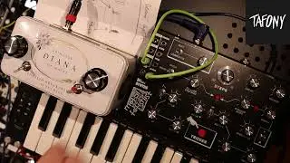 Lady Di Drone x Metal Fetishist Jam from Livestream!