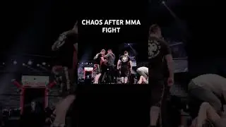 Chaos after Balkan MMA fight #mma #ufc #fight #chaos