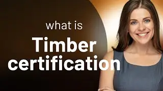 Understanding Timber Certification: A Guide to Sustainable Forestry