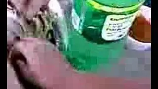 Comida Rapida