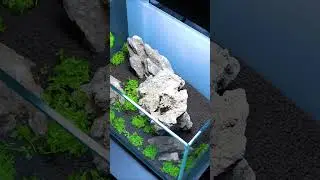 Creating a Dry-Start Nano Iwagumi