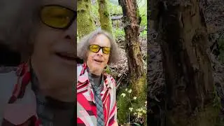 Forest Science&hellip;Part 5! #wordplay #weirdcomedy #cleverjokes #altcomedy #onelinerjokes #sillyhumor