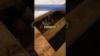 🔥SECRET FLOOR IN THE CHURCH
