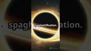 What Happens If You Fall Into a Black Hole ⚫