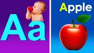 ABC Song / Kiddos Study Zone / ABC Phonics Song / ABCD / Tiny Tots / ABC lyrics song #phonicsong