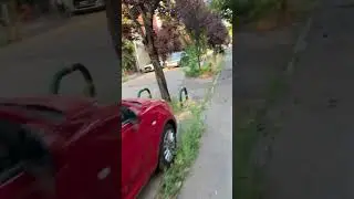 #alluvione #incuria #comunedibologna #bologna #cirisiamo