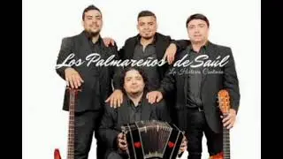 Los Palmare&ntilde;os - feliz ilusion (Sin el bajo)