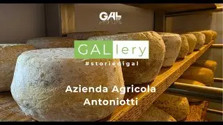 Azienda Agricola Antoniotti