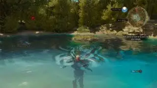The Witcher 3: Wild Hunt &ndash; Sword in the Lake