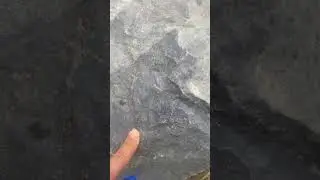 meta-basalts belonging to shangla ophiolitic melange in ISZ host cu and fe sulphides; VMS#geology