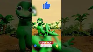 NOWA Animacja Patila