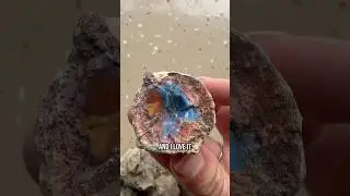 What would you do with these thunder eggs? 🤔 #agateariel