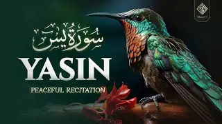 Relaxing Surah Yasin (Yaseen) سورة يس | Relaxing soul touching voice | AlBaqi TV