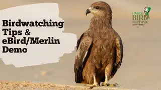 Birdwatching 101: Tips, Tools & eBird Demo | Hareli Bird Count Webinar &ndash; 11 July 2025