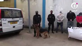 أمن المدية يوقف 05 أشخاص ينشطون ضمن عصابات الأحياء