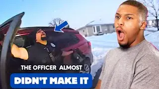 K9 Saves the Day After Stolen Vehicle Crashes | Reaction