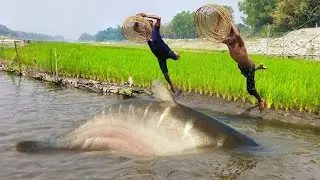 2022 Best In Best polo fishing  Video ❤️ Amazing Big Fish Hunting Unique World Best Polo Fishing