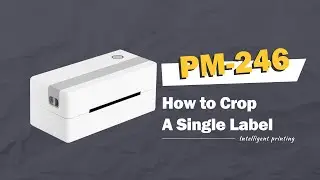 Phomemo PM246 Tutorial: (Win) How to Use 
