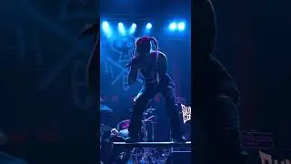 Sumo Cyco - 