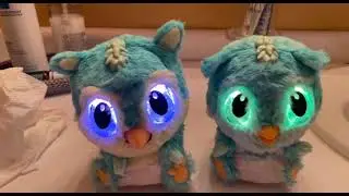 Blue/yellow Hatchimal baby￼ and blue Hatchimal baby￼