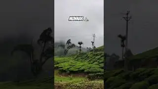 🫶⛰️ #munnar #september #kerala #india #topstation #shorts #youtube #travel #vlogs #kookal #1m  #fyp