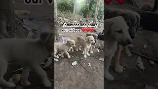 Пожалуйста, не пролистывайте комментарии сегодня.