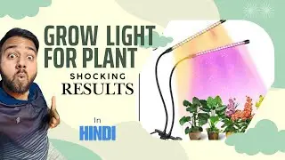 Grow light setup for fully indoor garden | grow lights for plants