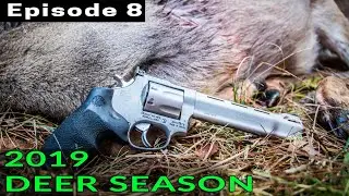Охота на оленей с револьвером .357 Magnum на общественной земле!