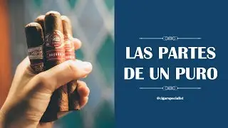Las partes de un puro | Cigar Specialist | El mundo del tabaco