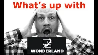 Time Wonderland Fail and rescue Plan of DAO's