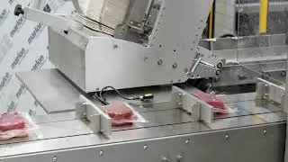 AUTOMATIC CARTONER mod. GEA - CONTINUOUS MOTION for tuna slices. INOX ALUMINIUM VERSION